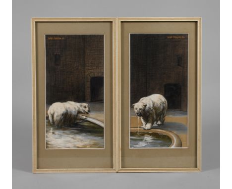 Willy Tiedjen, Paar Eisbärendarstellungenaus einem Bassin steigender und an einem Bassin stehender Eisbär, gekonnte erfasste 