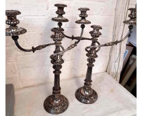A pair of regency period tree like candelabra 24 inches high 