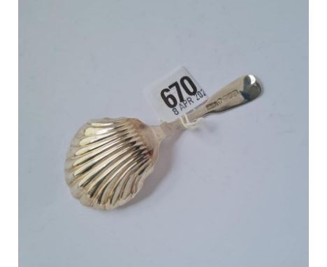 A Victorian caddy spoon with shell bowl Glasgow 1850 by JR