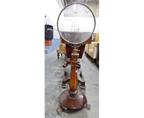 William IV rosewood stand, having a circular glass panelled screen, on telescopic support, on three reeded stylised paw feet 