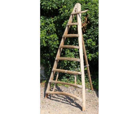 AN OLD WOODEN A FRAMED FRUIT PICKING LADDER with single hinged support, 205cm wide 
