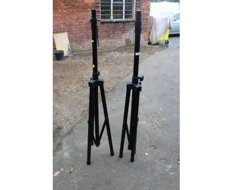 TWO LIGHTING STANDS