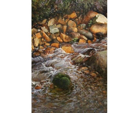 JOHN R. TODD (XX-XXI). Scottish school, rocky river scene, signed and dated 2003 lower right, oil on board, framed, 29 x 24 c
