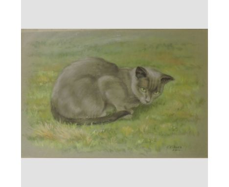 R. F. Rayko, Siamese cat, signed pastel, 29 x 43cm