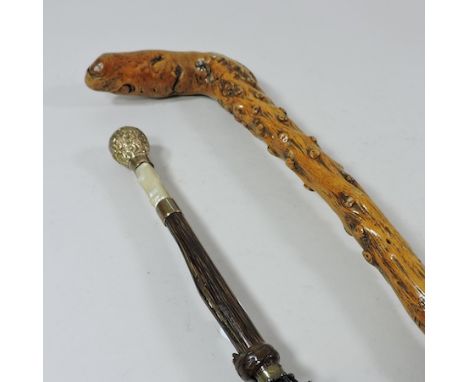 An early 20th century parasol, with a gold plated handle. 84cm, together with a wooden walking stick