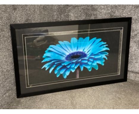 A large gallery framed print of Teal Gerbera 38 x 98cm