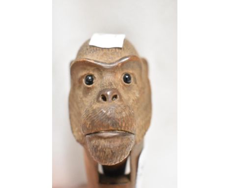 An early 20th century novelty nut cracker possibly Black Forrest or Italian in the form of a monkey head in carved box wood w