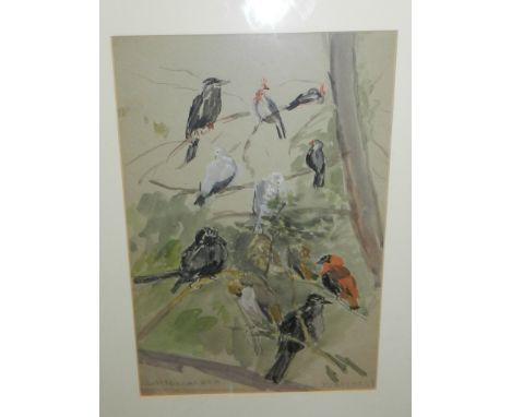 Nicolette Devas (1911-1987), 'Avery Birds', study of songbirds, watercolour on paper, signed, bears Sally Hunter Fine Art Ltd