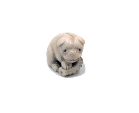 A Japanese ivory netsuke of a puppy with an octopus tentacle, Meiji period, height 3cm, width 3.5cm.   Condition report: crac