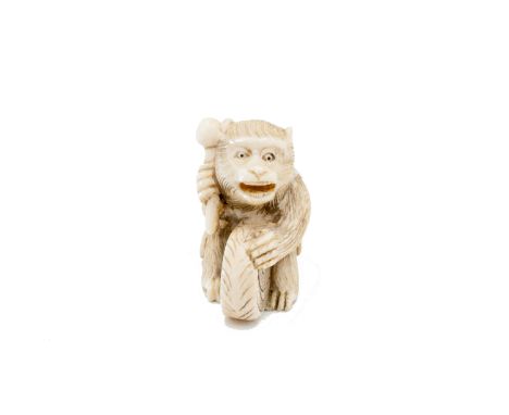 A Japanese ivory netsuke of a seated monkey beating a drum, Meiji period, height 4.3cm. 