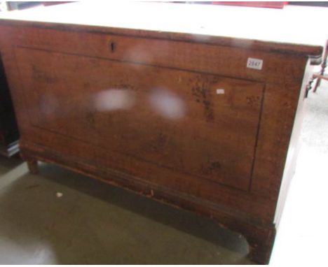 A very large old trunk.