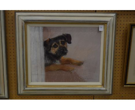 Neil Forster, study of a terrier, pastel.