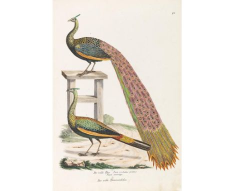 Heinrich Rudolf Schinz     Naturgeschichte und Abbildungen der Vögel-Gattungen. 2 Bände. Zürich, Brodtmann [1819]-1830.  Mit 