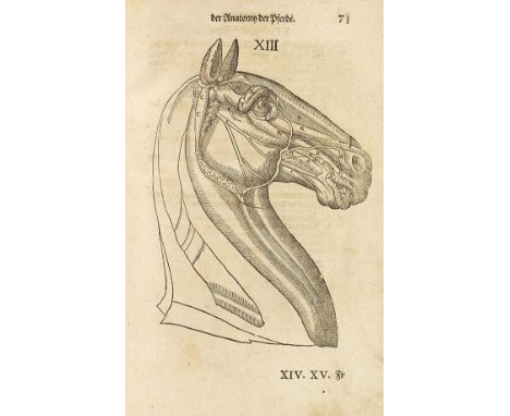 Carlo Ruini     Anatomia &amp; medicina equorum nova .. Neuwes Ross Buch .. ins Teutsch gebracht durch P. Uffenbach. 2 Teile 