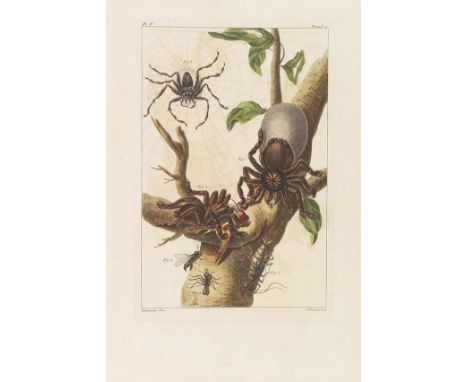 Pierre Joseph Buchoz    Première (-seconde) centurie de planches enluminées et non enluminées. Representant au naturel .. par