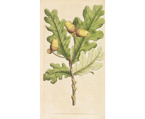 Thomas Martyn     Flora rustica. 4 Bände. London, F. P. Nodder 1792-1794.  Reizend illustriertes Pflanzenwerk in Einbänden de