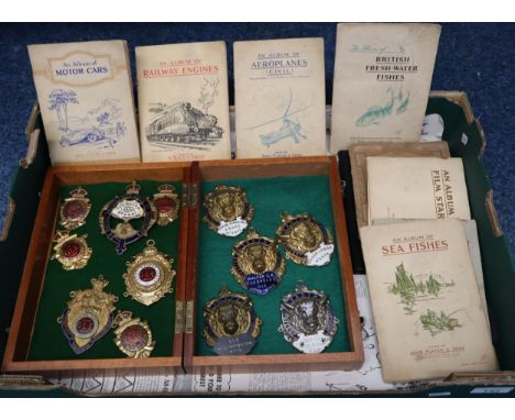 Collection of large R.A.O.B. enamel Master of the Lodge collar Jewels to include: Pride of Kirkstall, Talbot Lodge etc., toge