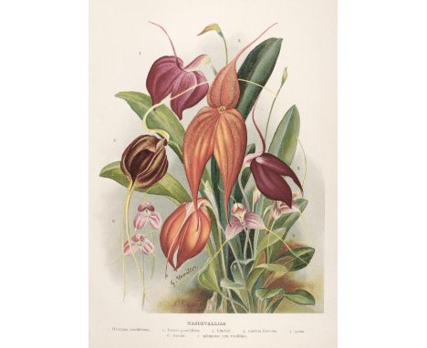 Wright (John). The Flower Grower's Guide, 6 volumes, London: Virtue &amp; Company, [1896-1901], 46 chromolithograph plates, e