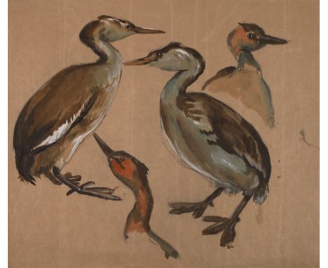 Alfred Tröger, attr., Reiherstudie Blatt mit der naturalistischen Darstellung zweier Reiher und zweier Reiherköpfe, Mischtech