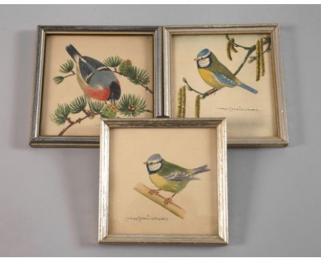 nach Karl Schicktanz, Drei Vogelportraits dabei zwei Blaumeisen- und ein Gimpelportrait, feine Aquarelle, Mitte 20. Jh., je u