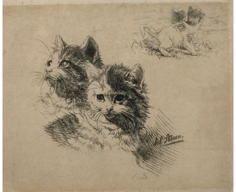 Julius Adam, Katzenpoesievolle Darstellung dreier Katzen, Radierung, um 1900, rechts unten in der Platte signiert "Jul. Adam"