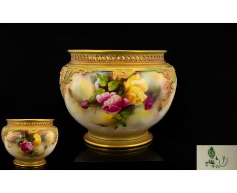 Royal Worcester Hand Painted and Signed Large Jardiniere ' Roses ' Still Life. Date 1909, Reticulated Rim / Border, Gold Pain