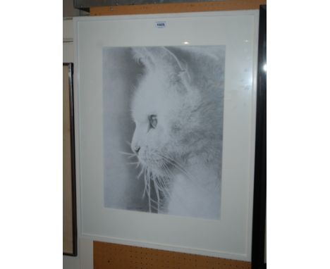 DOMINIC OCALLAGHAN Portrait of Alfie, 54 x 40cm and two others (3) Condition Report: Available upon request
