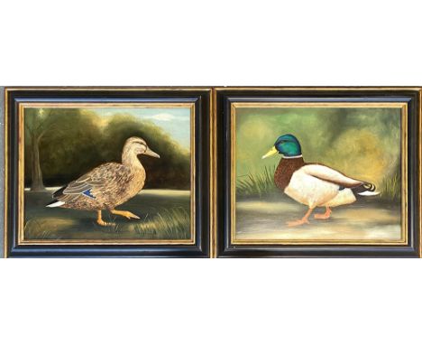 R. Churchill, a pair of 20th century oil on panel studies of a mallard duck and drake, 39x49cm 