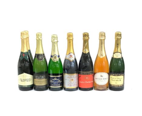 Collection of European sparkling wine - Chapel Hill Chardonnay Pinot Noir (75cl, 12%), Bohemia Regia Brut (75cl/12%), Merlot-