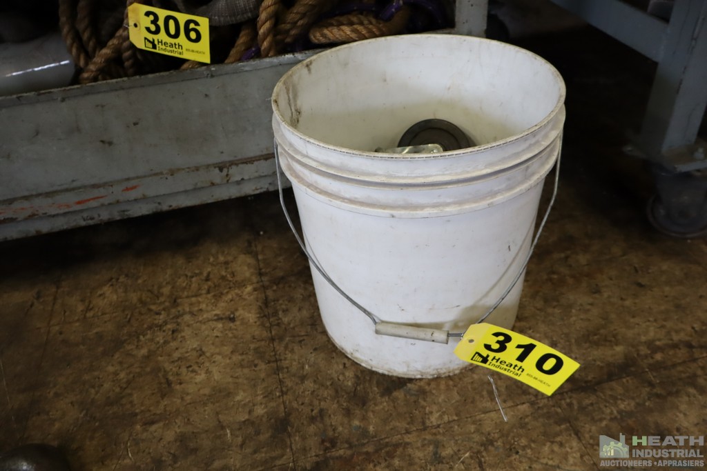 Lot 310