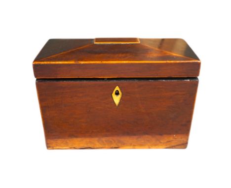 A Regency partridge wood tea caddy, 13cm high. Condition - fair.