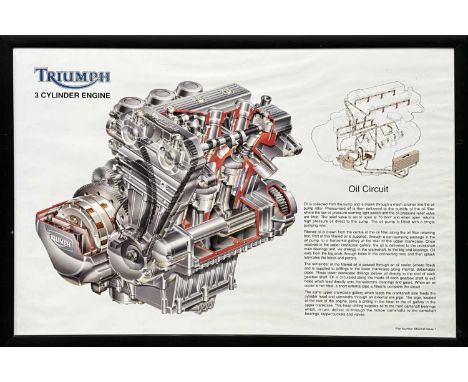 A coloured TRIUMP - 3 CYLINDER ENGINE print.Framed size approximately 62x86cm