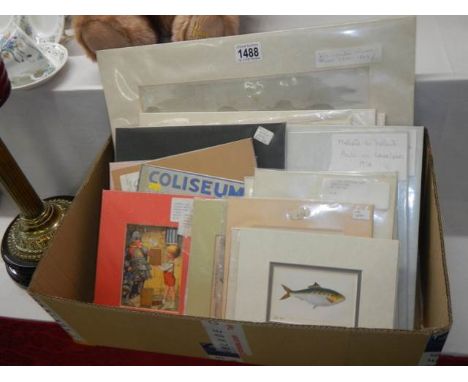 A good lot of 19/20th century engravings and prints including Louis Wain, Fishes of British Rivers etc.,