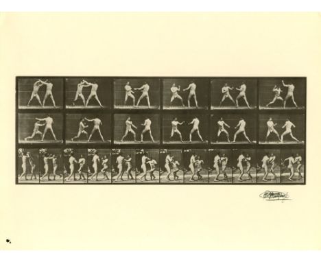 Eadweard Muybridge (English/American, 1830-1904). "Men Boxing [from Animal Locomotion: Plate 329]". Original photogravure. 18