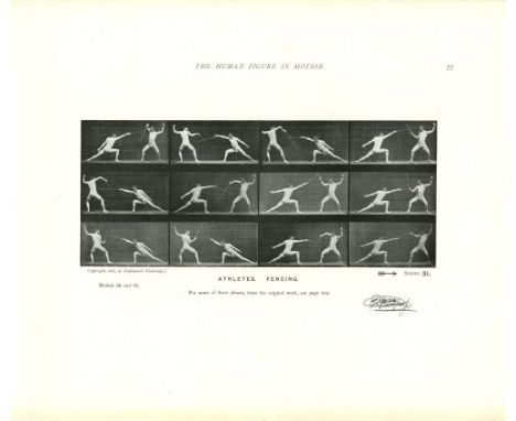 Eadweard Muybridge (English/American, 1830-1904). "Athletes: Fencing [from The Human Figure in Motion: Plate 31]". Original p