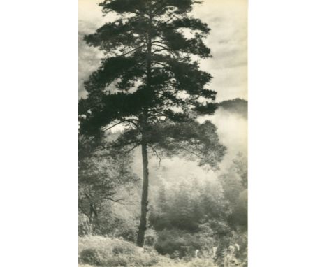 Chin-San Long [lang jingshan/lang ching-shan] (Chinese, 1892-1995). "Brouillard du matin". Original vintage photogravure. c19