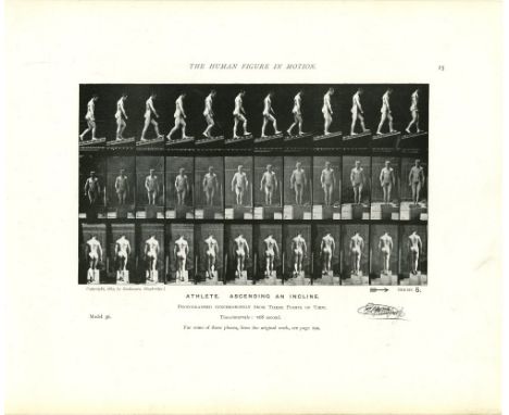 Eadweard Muybridge (English/American, 1830-1904). "Athlete: Ascending an Incline [from The Human Figure in Motion: Plate 05]"