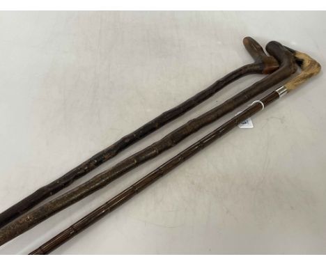 London 1917 silver mounted deers foot handled walking stick and two rustic walking sticks, one with dogs head handle and one 