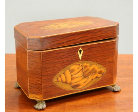 A GEORGE III INLAID TEA CADDY, rectangular with canted corners, inlaid to the lid and front with a conch shell, raised on bra