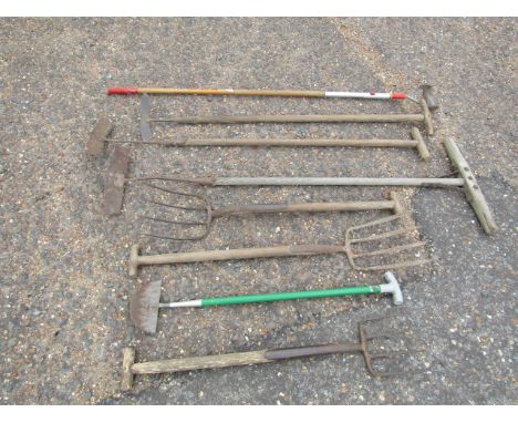 Garden tools to include forks and hoes etc&nbsp;