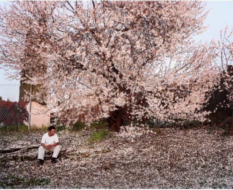 (See English version below)Larry Sultan (New York 1946 – 2009 Greenbrae, Kalifornien). Antioch Creek, aus der Serie „Homeland