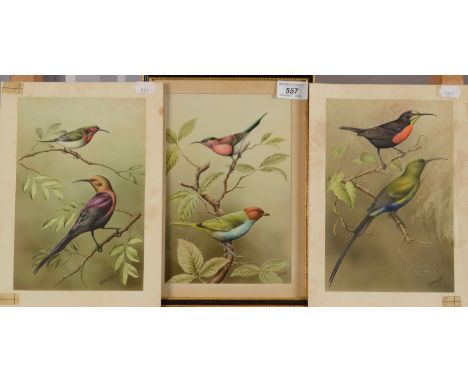 R A VOWELSThree ornithological studies Each signed Each 23 x 15cm