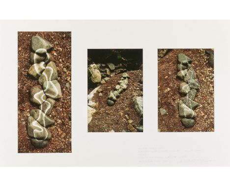   GOLDSWORTHY, ANDY  GOLDSWORTHY, ANDY   1956 Cheshire/England      Titel: River stones scratched white  made in dried-up bed