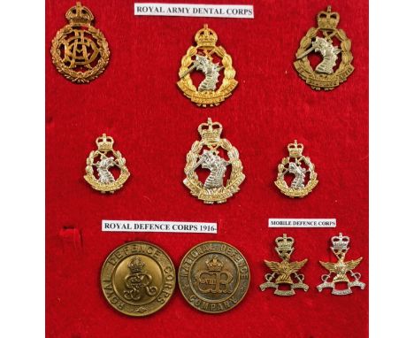Board of Army Dental Corps and Defence Corps insignia.Selection of cap badges, collars and shoulder titles including Edward V