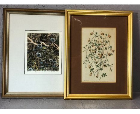 Two framed botanical prints, the first printed for James Ridgway, a hand-coloured engraved botanical plate by J. Watts after 