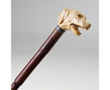 Victorian ivory carved dog head walking stick, the dog head carved with an open mouth, orange inset eyes, raised on a bamboo 