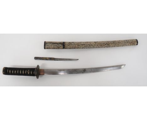 Unsigned Japanese Wakizashi Short Sword 16 1/4 inch, single edged blade. &nbsp;Shortened, unsigned tang. &nbsp;Copper habaki 