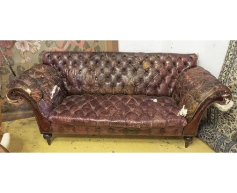 SOFA, Victorian in distressed buttoned leather with outswept arms and raised backrail, 80cm x 91cm H x 223cm. (with faults9