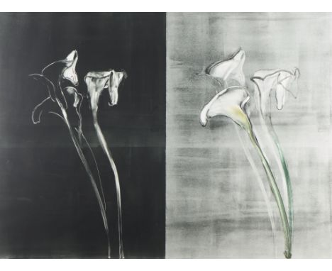 Michael Mazur (American, 1935-2009). Monotype on paper diptych titled "Calla Lilies III" depicting three blooming flowers on 