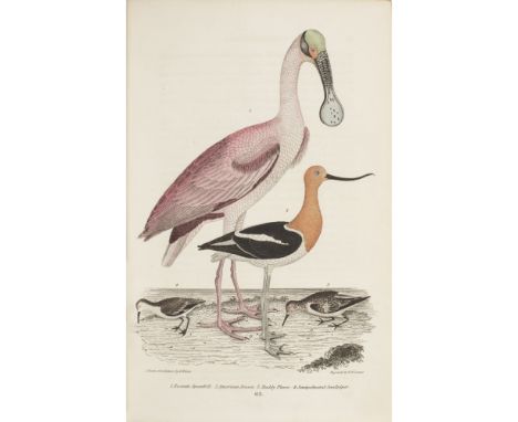 Wilson, Alexander  American Ornithology. London: Whitteaker, Treacher & Arnot, 1832. 3 volumes, 8vo, portrait and 97 hand-col